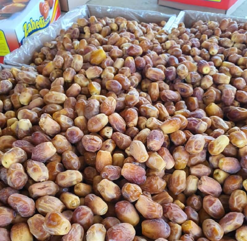 صادرات خرما زاهدی بوشهر
